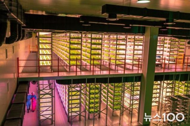 건물형- 플랜티팜(주)