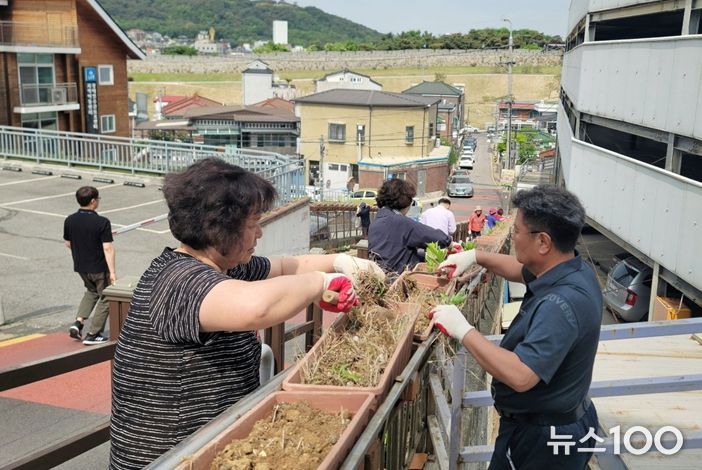 팔달구 지동, 봄맞이 초화식재 및 손바닥정원 정비 실시