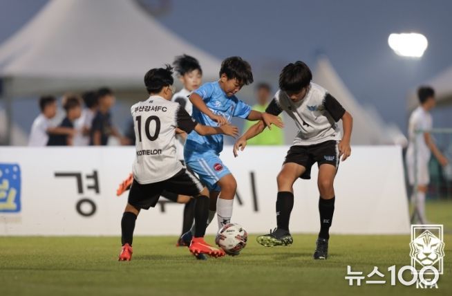 작년 열린 화랑대기 저학년 페스티벌 경기 모습