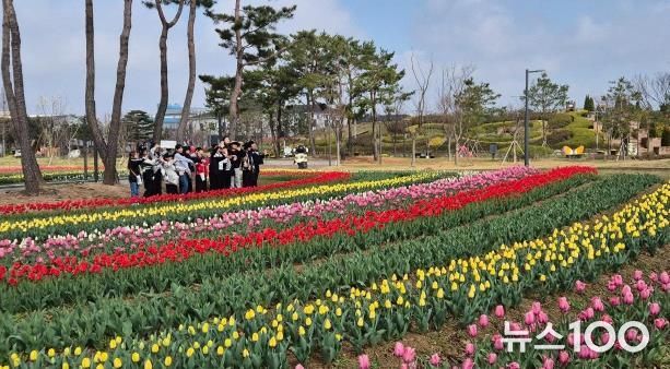 ‘2025 평택꽃나들이’ 화려한 봄꽃과 함께 안전하게 마무리