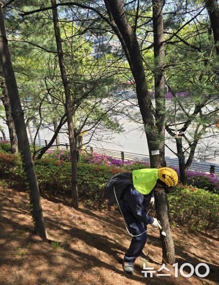 고양시 덕양구, 도심 속 녹지 산림병해충 방제 총력