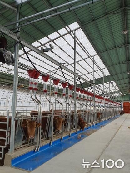 파주시, 축산농가 사료구매자금 81억 원 융자 지원사업 대상자 확정