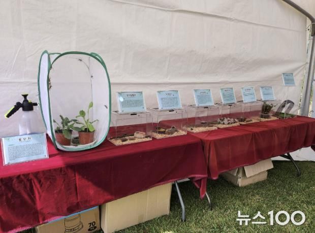 구리시 곤충생태관, 유채꽃 축제와 함께하는 특별전시 운영