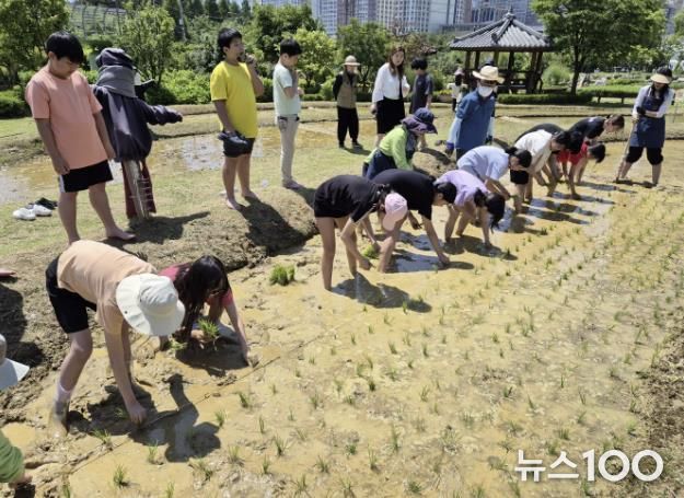 시흥시, 도시농업공원서 어린이농부의 쌀 여행 체험교육 열려