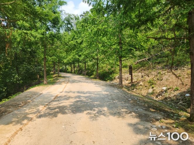 용인특례시는 처인구 왕산리 산93번지 일원 숲길의 맨발길 종점에서 간이 세족장까지 이어지는 산책로를 새롭게 연결했다