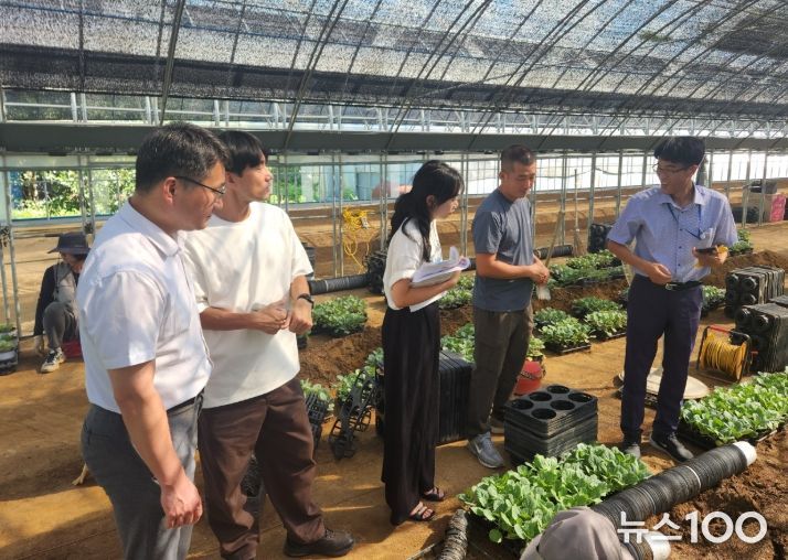 초화농가(과천) 병해충 예방 방제 방법 제시