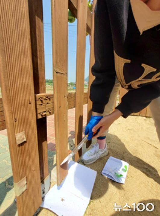 방부목 시료채취 사진