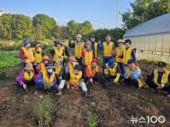 파주시 금촌2동 실버경찰대, 직접 재배한 고구마로 나눔 실천
