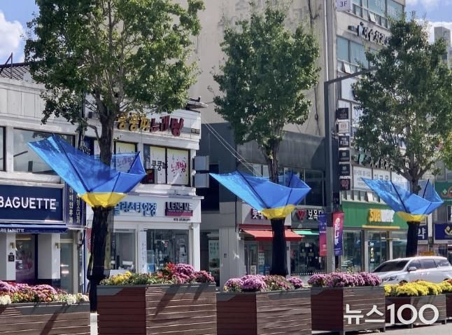 여주시, 은행나무 열매 악취 STOP!