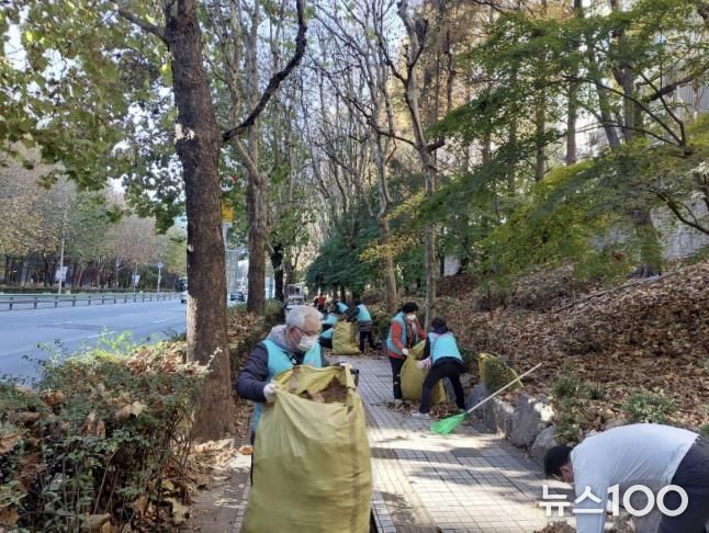 광정동 낙엽청소