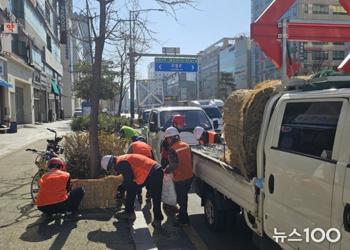 고양시 일산서구, 봄맞이 가로화단 월동시설 철거 완료