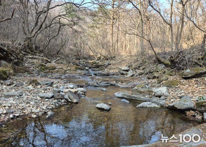 남양주시, 천마산 시립공원 내 불법행위 근절 특별정비 추진