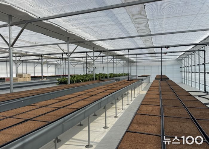 고양시, 고품질 선인장 육성 목적 ‘접목선인장 무병종묘장’ 조성