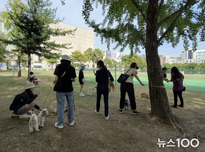 반려견과 산책하는 과천시민들 모습