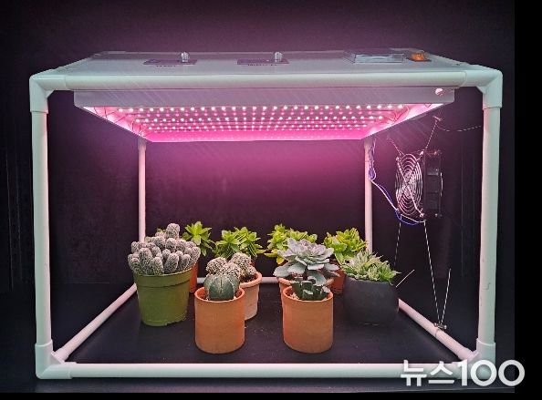 가정용 다육식물 생육상